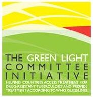 A bright graphic cover titled "THE GREEN LIGHT COMMITTEE INITIATIVE." It uses layers of vibrant yellow, green, and red shapes to outline a stylized, rolling landscape design.